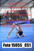 15055_CS1-