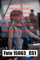 15063_CS1-