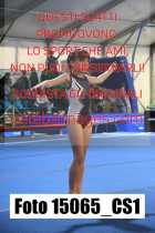 15065_CS1-