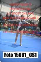 15081_CS1-