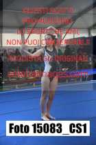15083_CS1-