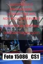 15086_CS1-