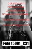 15091_CS1-