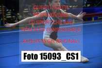 15093_CS1-