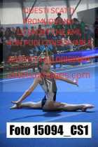 15094_CS1-