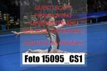 15095_CS1-