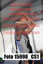 15098_CS1-