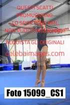 15099_CS1-