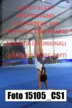 15105_CS1-
