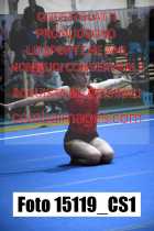 15119_CS1-