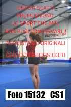 15132_CS1-