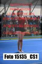 15135_CS1-