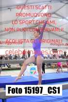 15197_CS1-