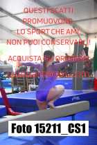 15211_CS1-