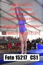 15217_CS1-