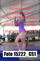 15222_CS1-