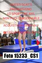 15233_CS1-