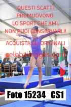 15234_CS1-