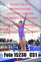 15236_CS1-