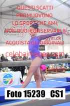 15239_CS1-