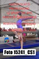 15241_CS1-