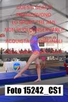 15242_CS1-