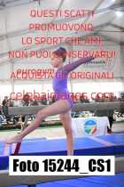 15244_CS1-
