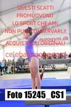 15245_CS1-