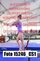 15246_CS1-