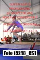 15248_CS1-
