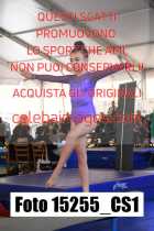 15255_CS1-