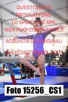 15256_CS1-