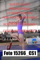 15266_CS1-