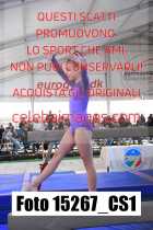 15267_CS1-