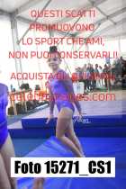 15271_CS1-