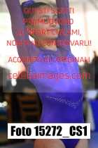 15272_CS1-