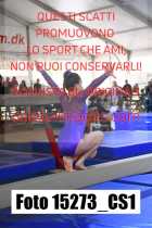 15273_CS1-