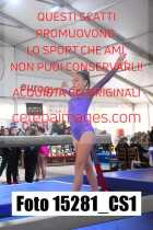 15281_CS1-