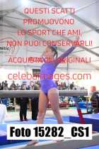 15282_CS1-