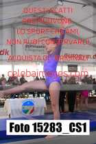 15283_CS1-