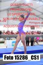 15286_CS1-