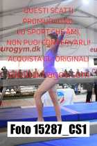 15287_CS1-