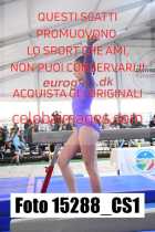 15288_CS1-