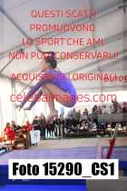 15290_CS1-