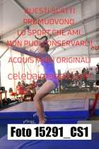 15291_CS1-