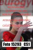 15293_CS1-
