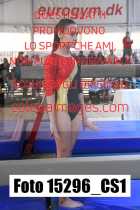 15296_CS1-