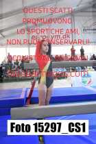 15297_CS1-