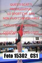 15302_CS1-