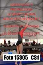 15305_CS1-